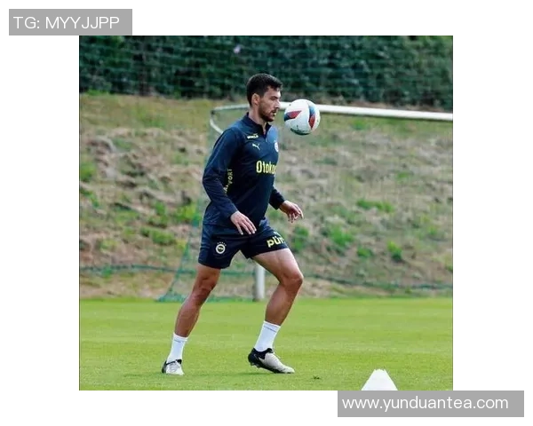 费内巴切与安德莱赫特激战正酣比赛结果引发球迷热议